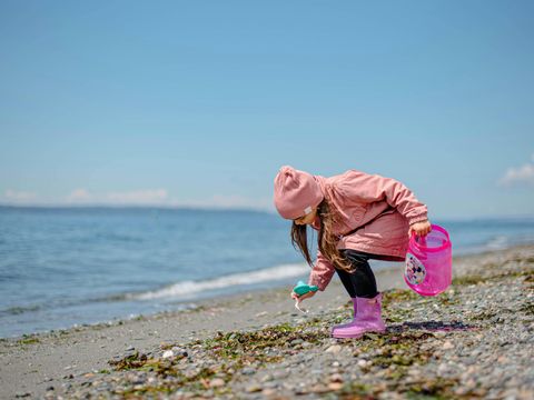 Strandpark Vlugtenburg aan Zee - Westland - Afbeelding N°38