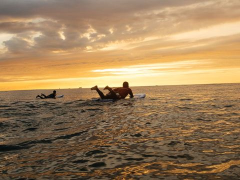 Strandpark Vlugtenburg aan Zee - Westland