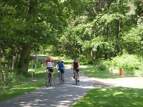 Holiday Suites Limburg - Belgisch Limburg