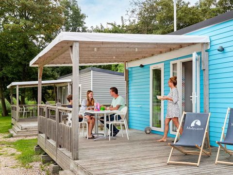 Molecaten Park Waterbos - Westvoorne - Afbeelding N°10