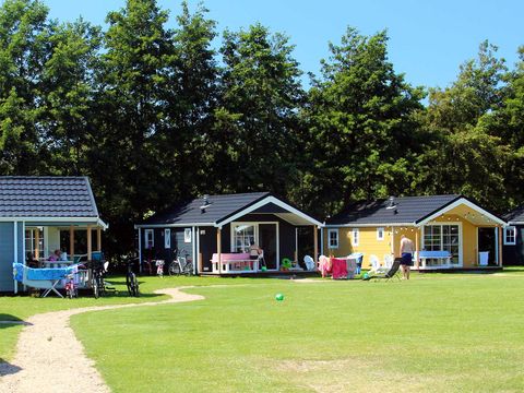 Molecaten Park Waterbos - Westvoorne - Afbeelding N°7