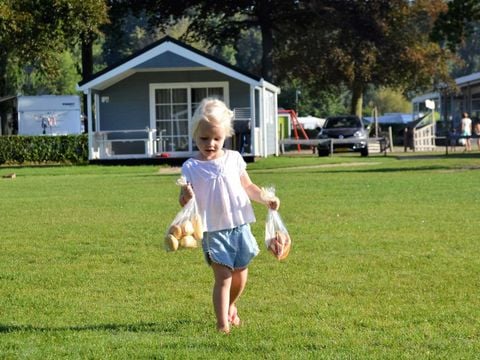 Molecaten Park Waterbos - Westvoorne - Afbeelding N°5