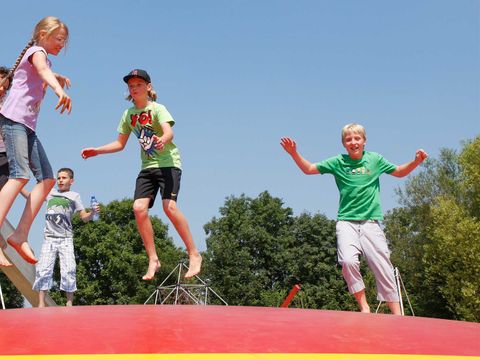 Molecaten Park Rondeweibos - Westvoorne - Afbeelding N°7