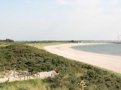 Molecaten Park Rondeweibos - Westvoorne - Afbeelding N°14