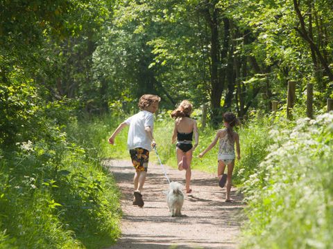 Molecaten Park Rondeweibos - Westvoorne - Afbeelding N°12