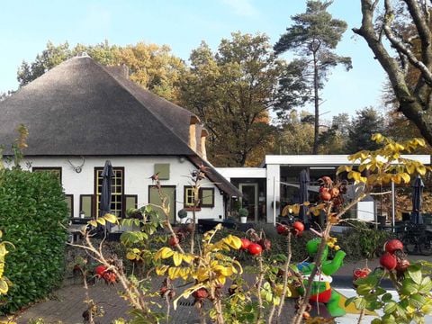 Molecaten Park De Leemkule - Hattem