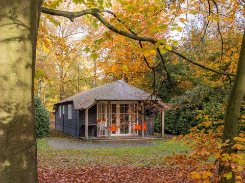 Molecaten Park De Leemkule - Hattem - Afbeelding N°22