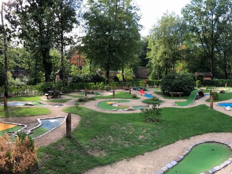 Molecaten Park De Leemkule - Hattem - Afbeelding N°17