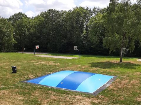 Bungalowpark Het Bosmeer - Weststellingwerf - Afbeelding N°9