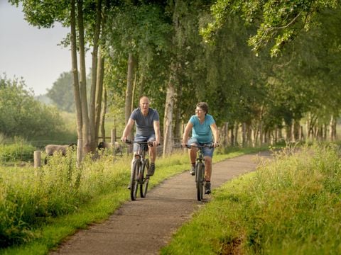 Bungalowpark Het Bosmeer - Camping Weststellingwerf - Afbeelding N°2