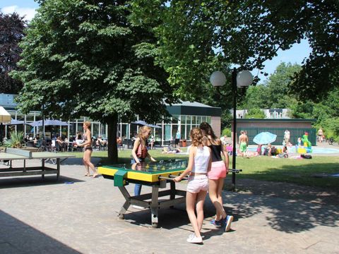 Molecaten Park Landgoed Ginkelduin - Utrechtse Heuvelrug - Afbeelding N°21