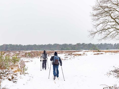 Molecaten Park Landgoed Ginkelduin - Utrechtse Heuvelrug - Afbeelding N°33