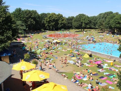 Molecaten Park Bosbad Hoeven - Camping Halderberge - Afbeelding N°0