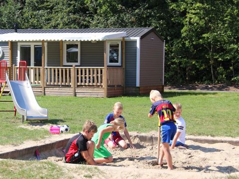 Molecaten Park Bosbad Hoeven - Halderberge - Afbeelding N°16