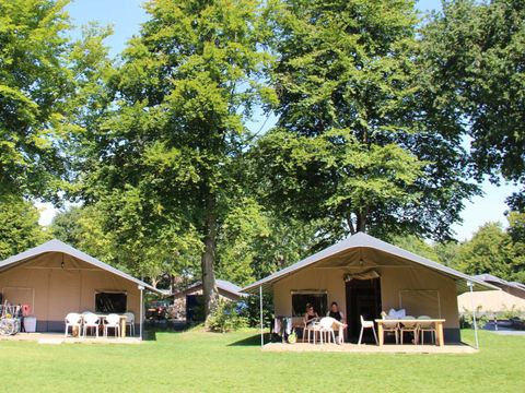 Molecaten Park Bosbad Hoeven - Halderberge - Afbeelding N°14