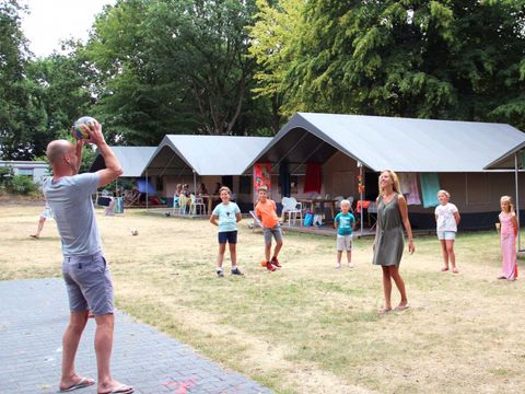 Molecaten Park Bosbad Hoeven - Halderberge - Afbeelding N°18