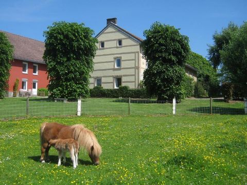 Bungalowpark Landsrade - Gulpen-Wittem - Afbeelding N°35