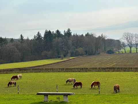 Bungalowpark Landsrade - Gulpen-Wittem - Afbeelding N°20