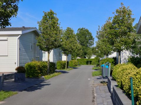 EuroParcs Schoneveld - Sluis - Afbeelding N°46