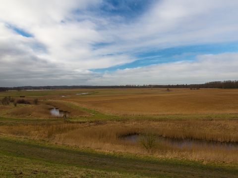 EuroParcs Molengroet - Langedijk - Afbeelding N°40