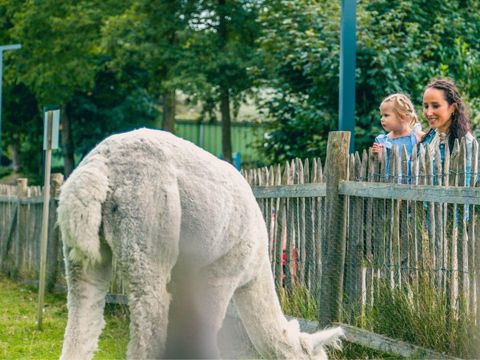 EuroParcs Molengroet - Langedijk