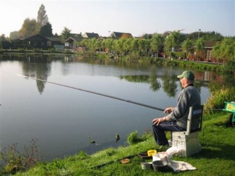 Recreatiepark Klein Strand - Camping West-Vlaanderen - Afbeelding N°3
