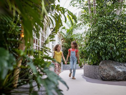 Center Parcs Park Zandvoort - Zandvoort - Afbeelding N°55