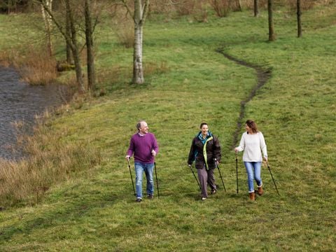 Center Parcs Limburgse Peel - Horst aan de Maas - Afbeelding N°2