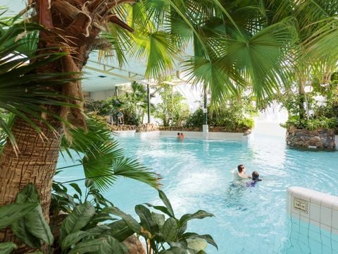 Center Parcs Limburgse Peel - Horst aan de Maas