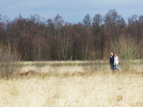 Center Parcs Limburgse Peel - Horst aan de Maas - Afbeelding N°3