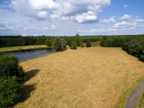 Center Parcs Limburgse Peel - Horst aan de Maas - Afbeelding N°20
