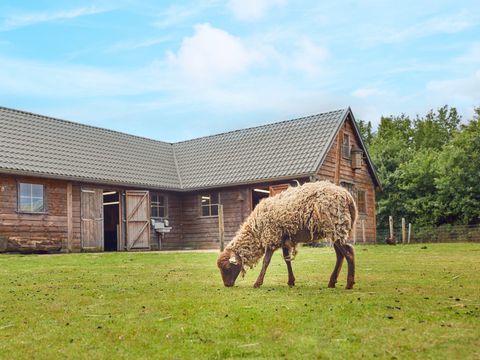 Center Parcs Limburgse Peel - Horst aan de Maas - Afbeelding N°13