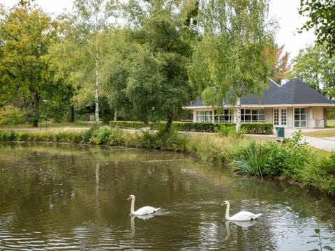 Center Parcs Limburgse Peel - Horst aan de Maas - Afbeelding N°2