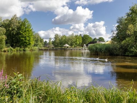 Center Parcs Limburgse Peel - Horst aan de Maas - Afbeelding N°0