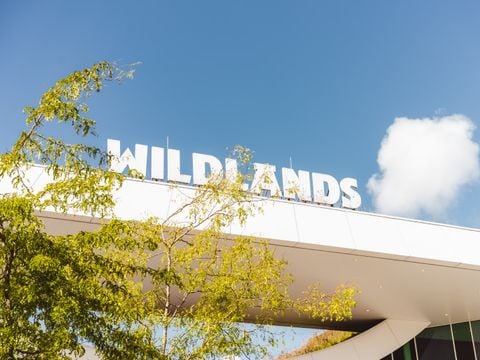 Landal Vakantiepark Hunzedal - Borger-Odoorn - Afbeelding N°4