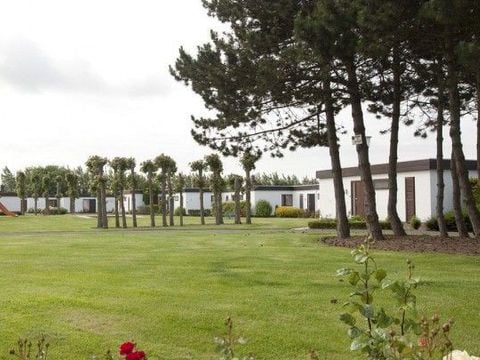 Jonckershof - Camping West-Vlaanderen - Afbeelding N°3