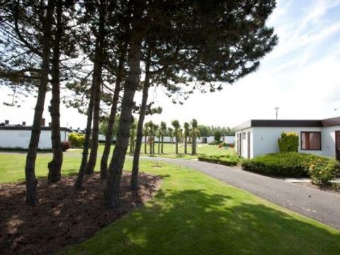 Jonckershof - Camping West-Vlaanderen - Afbeelding N°3