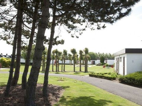 Jonckershof - Camping West-Vlaanderen - Afbeelding N°4