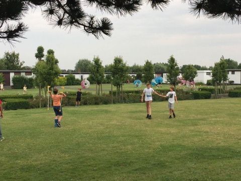 Jonckershof - Camping West-Vlaanderen - Afbeelding N°5