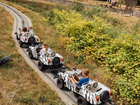 Vakantiepark Dierenbos - Meierijstad - Afbeelding N°22