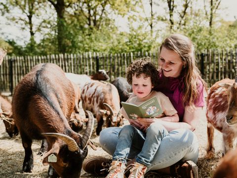 Vakantiepark Dierenbos - Meierijstad - Afbeelding N°27