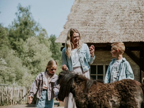 Vakantiepark Dierenbos - Camping Meierijstad - Afbeelding N°3