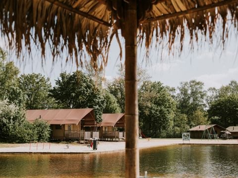 Vakantiepark Dierenbos - Camping Meierijstad - Afbeelding N°3