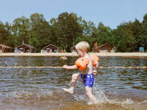 Vakantiepark Dierenbos - Meierijstad - Afbeelding N°15