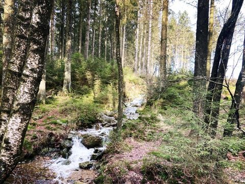 Camping Oos Heem - Luik - Afbeelding N°5