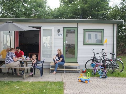 Vakantiepark De Oude Molen - Camping Dal en Berg - Afbeelding N°0