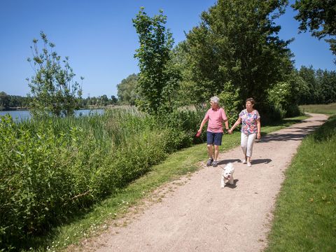 Vakantiepark Hof van Zeeland - Borsele - Afbeelding N°25