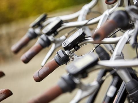 Vakantiepark Hof van Zeeland - Borsele