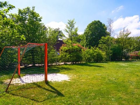 Summio Bungalowpark Het Drentse Wold - Camping Midden-Drenthe - Afbeelding N°4