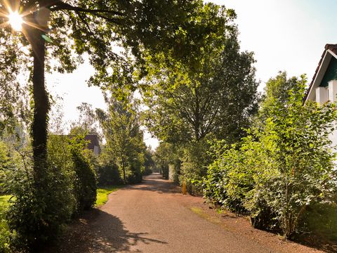 Summio Bungalowpark Het Drentse Wold - Camping Midden-Drenthe - Afbeelding N°5